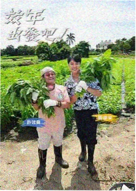 搜狗影视作品图鉴慢速公路剧照